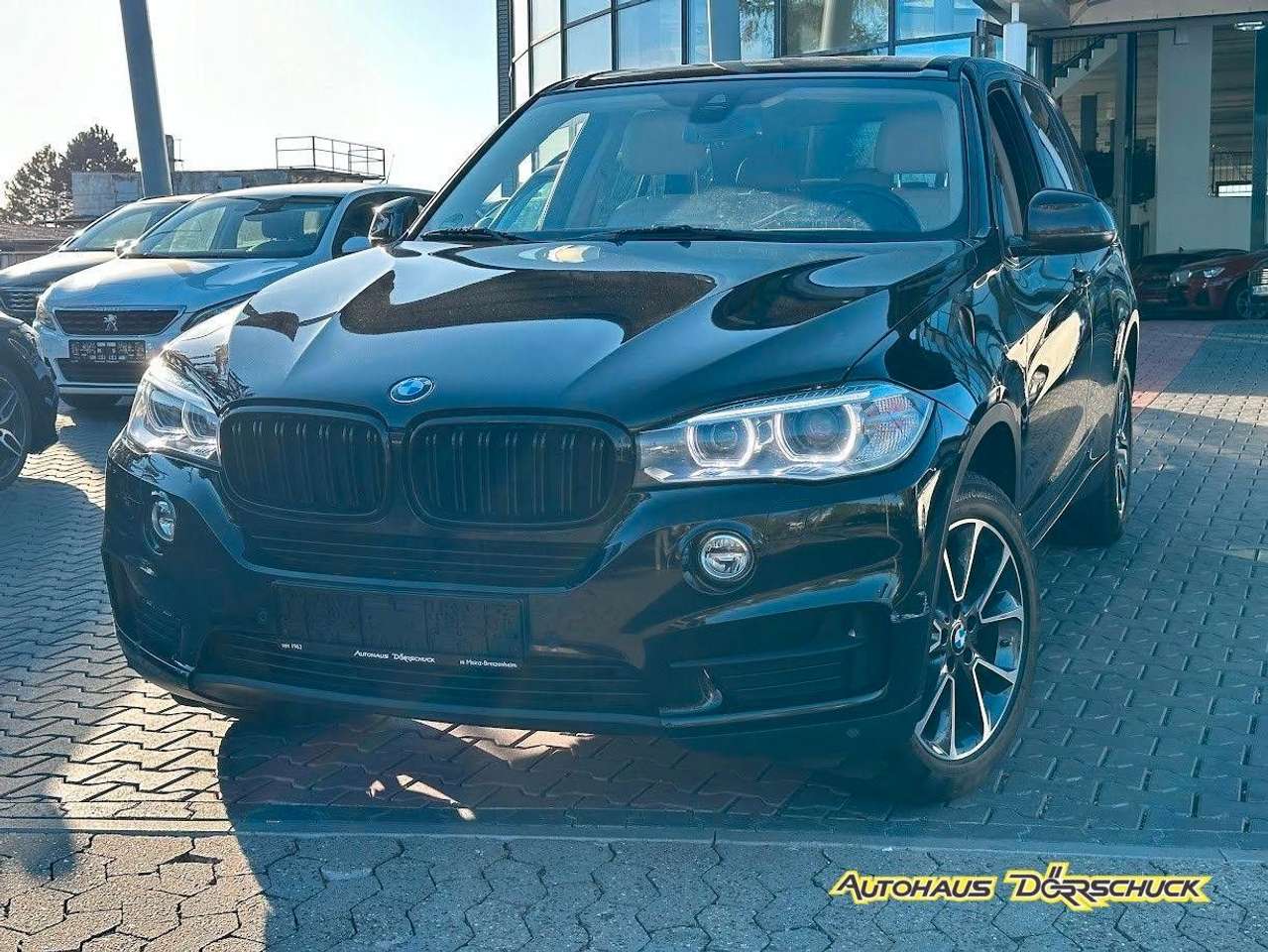 BMW X5  sDrive 25d Head-Up Drive Assist 4xSHZ 4xKlima